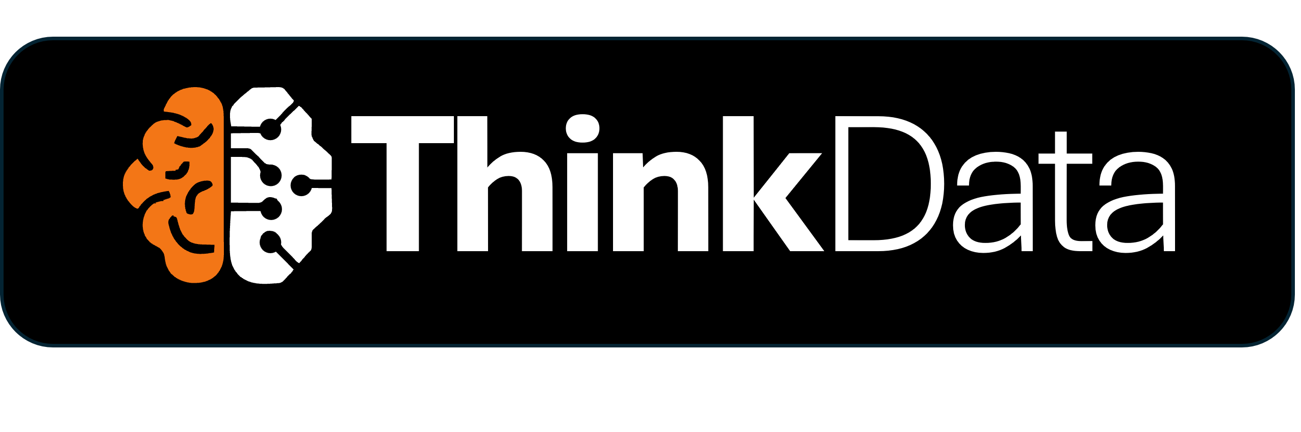 ThinkData Logo